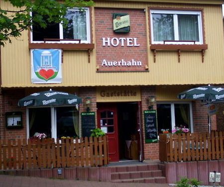 Auerhahn Hotell Bad Suderode Eksteriør bilde